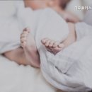 가오플러스 산후조리원 네이버블로그