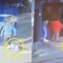 마! 주인 이미지