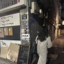 을지아파트 상가 | 을지로 혼술바 추천 | 친구도 만들고 손금도 보고, 혼술바 훅 내돈내산 후기