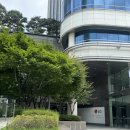 LG빌딩 | 서울역 직장인 맛집 LG 서울역빌딩 베트남음식 랑우 솔직 후기