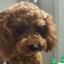 순이데이즈 네이버블로그