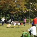 호돌유치원 이미지