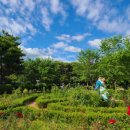 서래어린이공원 이미지