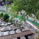 도림천 산책로5 이미지