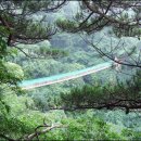 좋은 아침 이미지