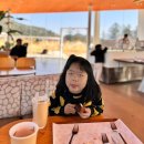 채원목장 이미지