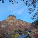 청량사 화장실(건물) | 봉화 뒤늦은 단풍 놀이 청량사 주차정보 백두산호랑이 백두대간 수목원