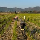 강화도 해뜨는집 이미지