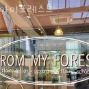 프롬마이포레스트