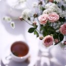 선비마을건강나라 이미지