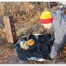 와룡마을 이미지