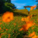 88 서울올림픽 그리고 복합문화공간 "올림픽공원" 알아보기 이미지