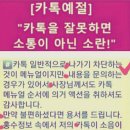 🛑야생 독성 옻나무 공업용 도료는 [옻칠]🔺️금지식품 🔺️금지약물 입니다. ❇️댓글/아침의 음악편지 이미지