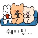 대음레코드 이미지
