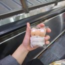 [서울] 당일치기 강남여행