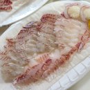 매일낚시터 | 인천 만정바다좌대낚시터 12시간 복수전 후기