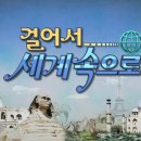 동서양의 어울림 탱고를 만나다 | 걸어서 세계속으로 목차