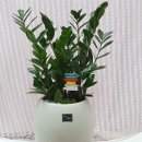 우곡마을회관 이미지