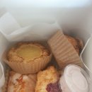푸른올리브