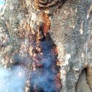 광덕4로10 이미지