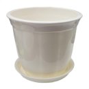 원예가드닝 이미지