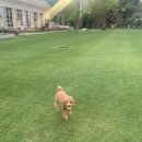 스카이스위트 이미지