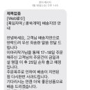 봄봄이아리