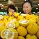 노화농협하나로마트 이미지