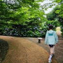 달욱농장 | <열대과일농장 유진팡>제주에서 바나나 따기/제주올패스 방문 가능 자연 체험