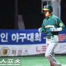 박혁동 카카오 검색결과