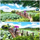화순군농업기술센터 이미지