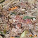 초당동-2 이미지