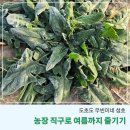 우빈농장 이미지