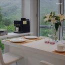 하얀허브 이미지