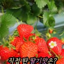 수향농장 이미지