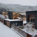 금천면사무소 이미지