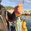 바다풍경펜션도시어부 이미지