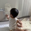 2026년 서울국제도서전 방문 후기랑, 이거저거 일상 찌끄린 일기