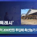 원축산 이미지