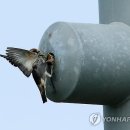 둥지하우스 이미지