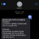 와이지(YG)당구클럽 | 중앙박물관 프리리스닝 스포티파이 프리미엄 세션 당첨 후기 DEADLINE [뛰어, Go, Me and my...