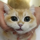 중동우리아이동물병원 이미지