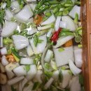 동치미 !!! 이미지