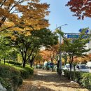 너른들어린이공원 이미지