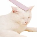 힐링그루밍 이미지