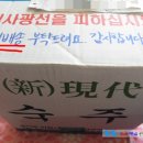 하람크린 | [햄스터/타이니펫] &#39;타이니펫&#39; 2번째 후기