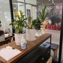 오복집밥 이미지