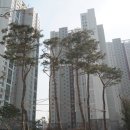 미사강변전문공인중개사사무소 이미지