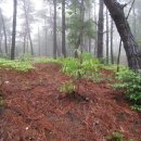 천방산농장 이미지