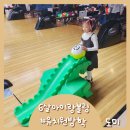 유치원방학 가볼만한곳 아이랑 볼링장 유아볼링